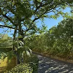 Archi 11 デセンツァーノ・デル・ガルダ