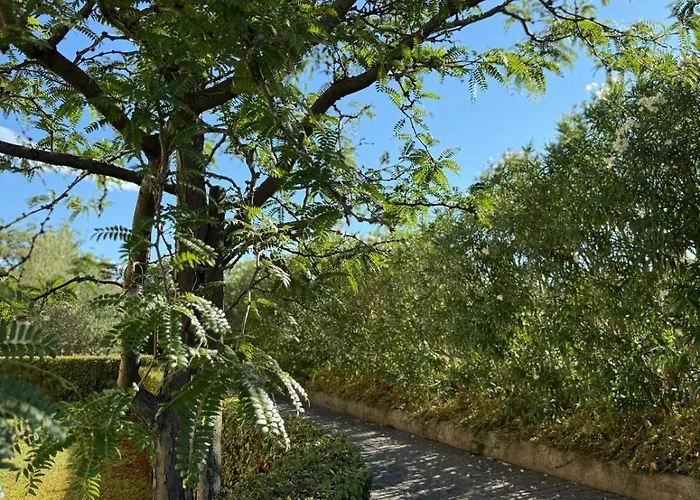 Archi 11 代森扎诺-德尔加达